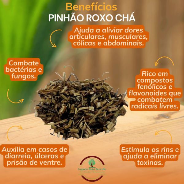 PINH�O ROXO CH� - PI�O ROXO - (JATROPHA CURCAS)